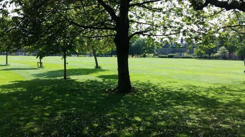 Suffolk Park Apartments