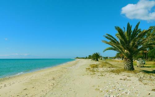 Apartamento Chalkidiki Nea Plagia Flogita Beach