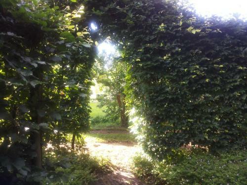 Bed & Breakfast Onder Dak