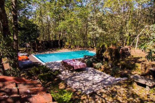 Liiiving In Caminha | Oak Tree Chill House