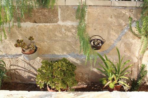 Apartamento Villa Relax - Pescoluse
