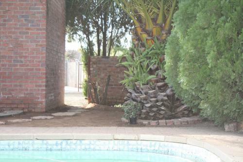 Cura Lodge