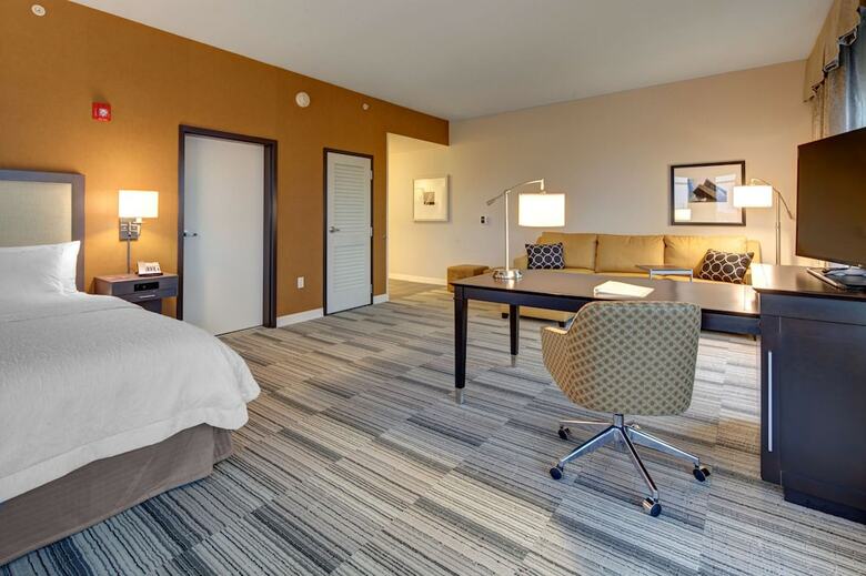 Hotel Hampton Inn And Suites Roanoke-downtown, Va