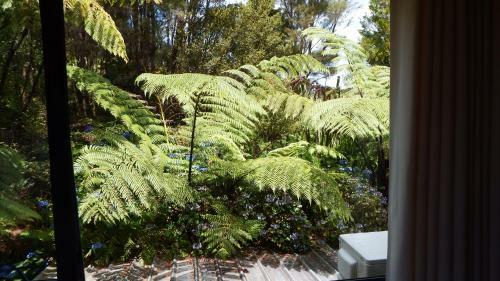Bed & Breakfast Hilltop