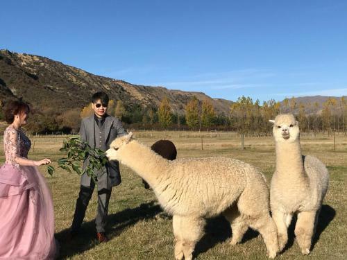 Agroturismo 1220 Gibbston Lodge