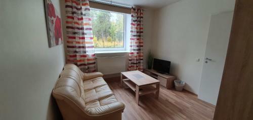 Albergue M�nniku Jalgpallikeskus