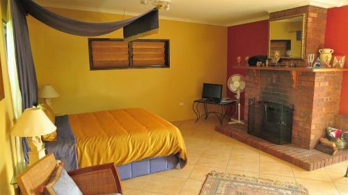 Gumtree On Gillies Bed And Breakfast