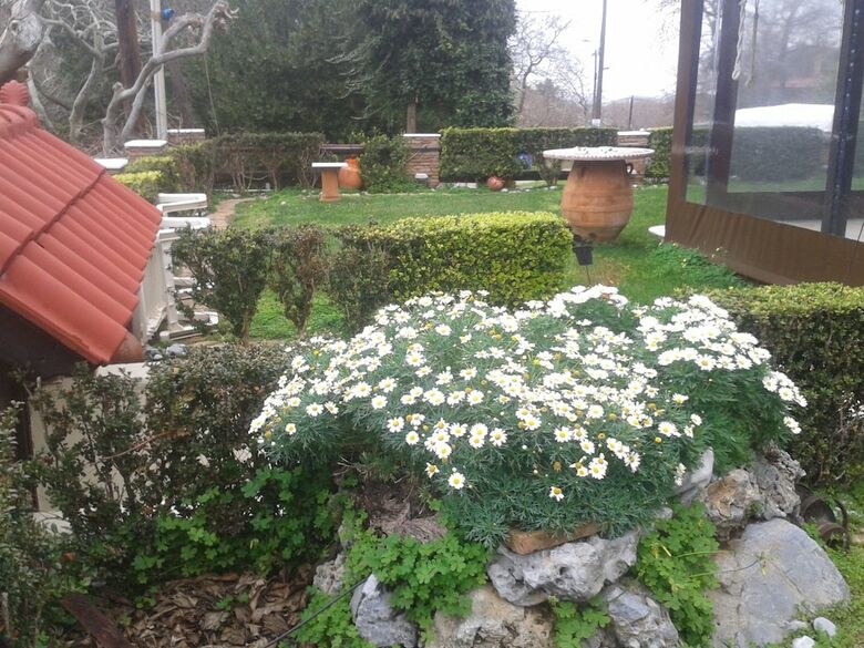 Apartamento Kalogirou Stone House