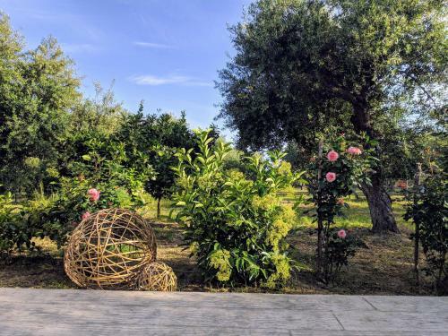 Apartamento Casa Di Porto Roma