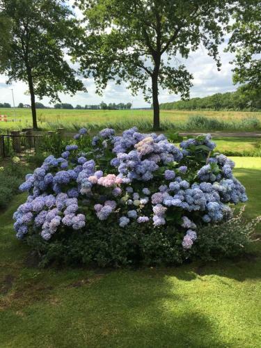 Bed & Breakfast Aan De Leijen
