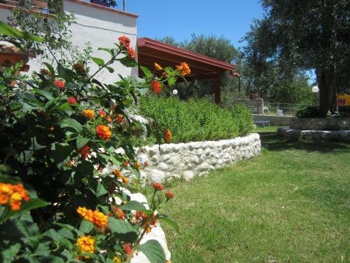 Apartamento B&B Casa Vacanze Tor Di Lupo