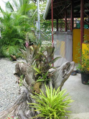 Apartamento Caribbean Comfort