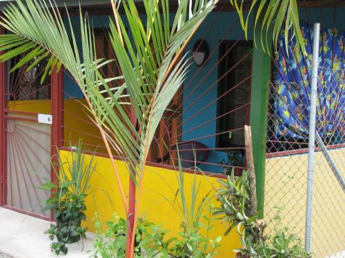 Apartamento Caribbean Comfort