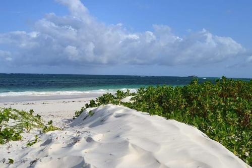 Turtle Bay Bed And Breakfast