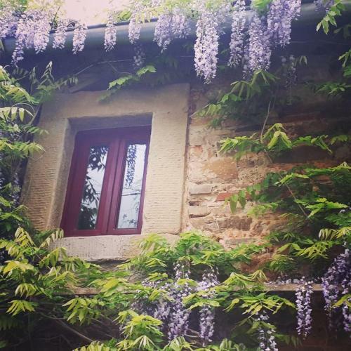 Agroturismo Podere Casina Rossa