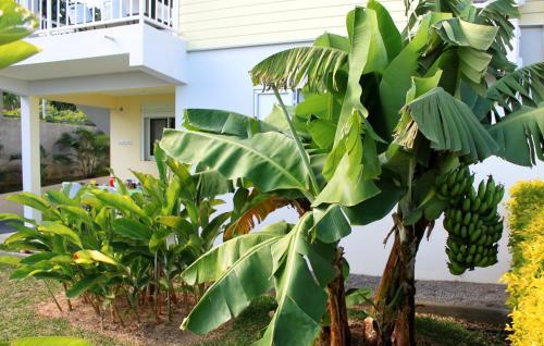 Apartamento R�sidence Oasis De Terre Rouge