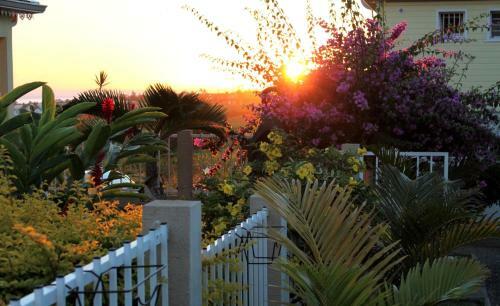 Apartamento R�sidence Oasis De Terre Rouge