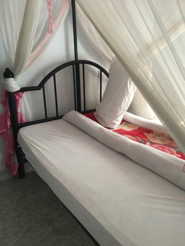 Bed & Breakfast Kutetere Motel