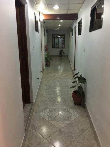 Bed & Breakfast Kutetere Motel