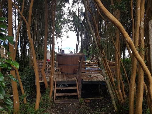 Caba�as Del Lago Huillinco