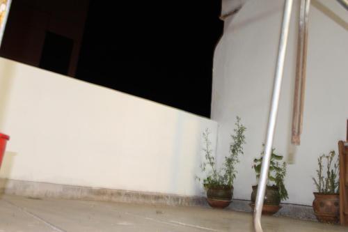 La Posada Del Papucho