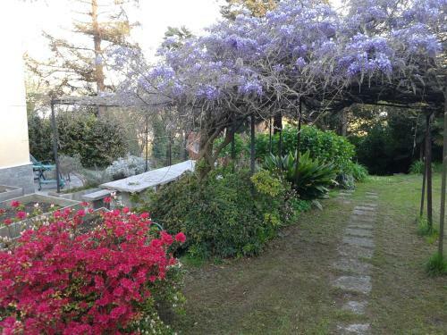 Bed & Breakfast Swanlake Rooms