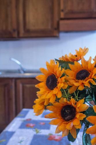 Northsardinia Residence