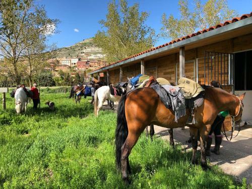 Albergue Rosalia / Pilgrim Hostel