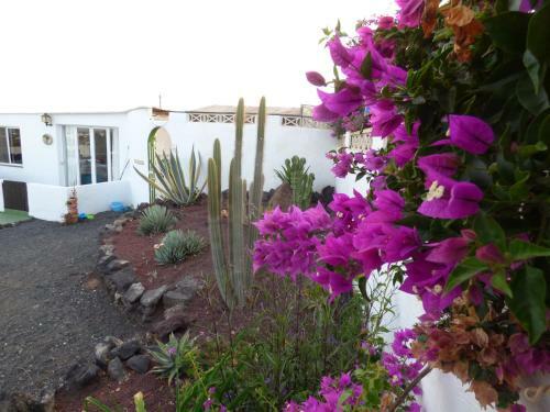 Casita De Gato
