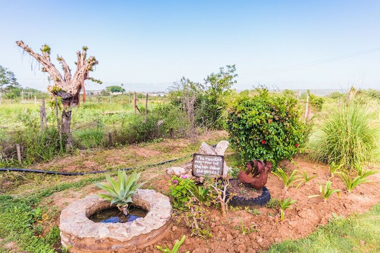 Hostal Addo Self Catering