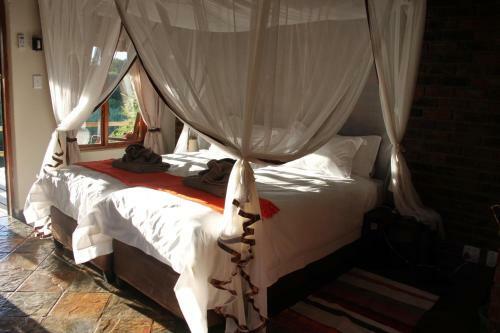 Klaserie River Safari Lodge