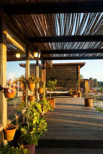 Punta De Lobos House