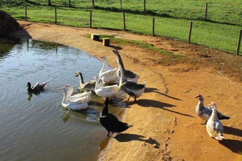 Agroturismo Hotel Fazenda Jaca�na