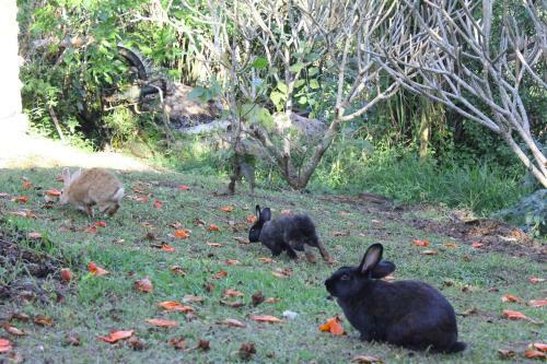 Agroturismo Hotel Fazenda Jaca�na