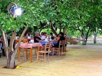 Hotel Portakal Bahcesi