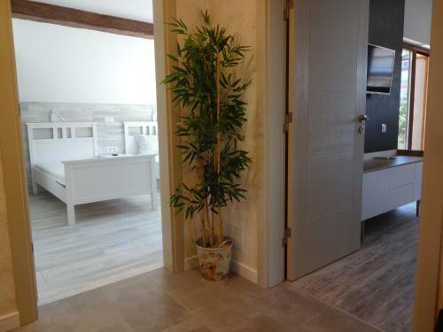 Two-bedroom Apartment With Garden