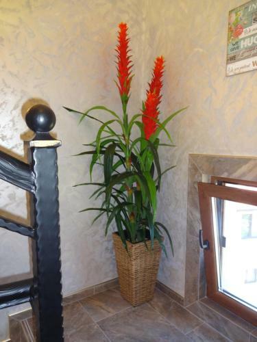 Two-bedroom Apartment With Garden