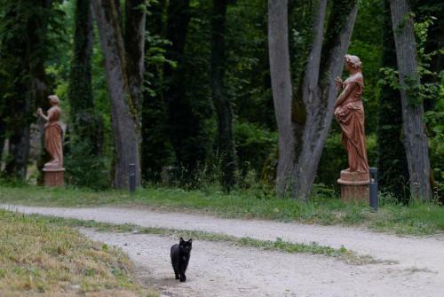 Hostal Hermitage St Roch