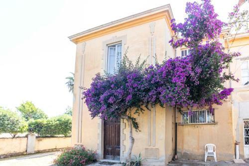 Bed & Breakfast Feudo Di Villa Anticaglia