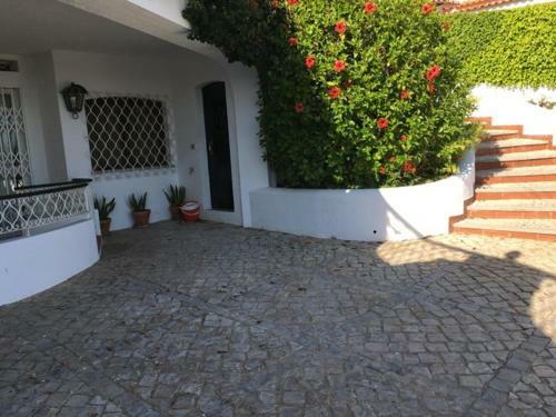 Villa Genie Holiday Rental