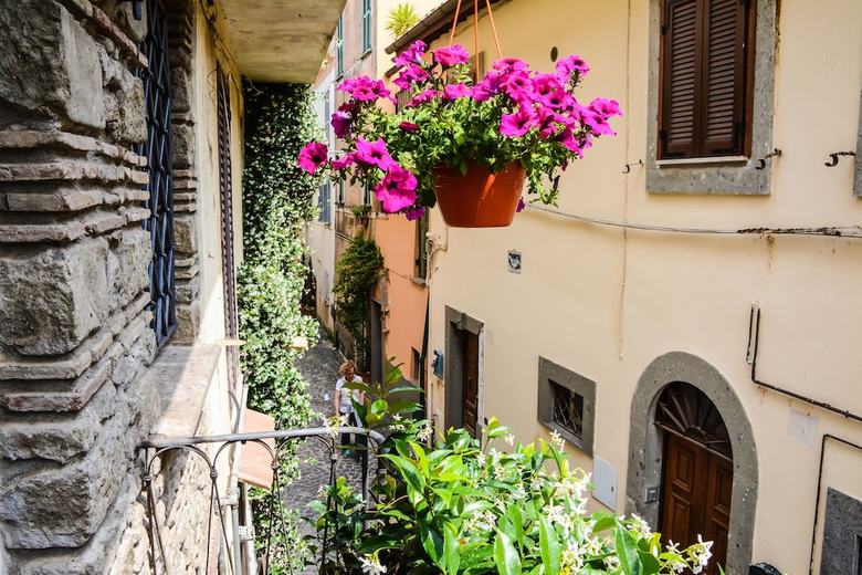 Hostal Atlantis Inn Castelgandolfo