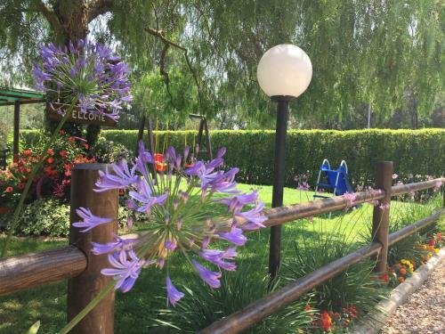Bed & Breakfast Casale Del Borgo