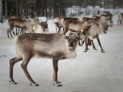 Hotel S�rbyn Turism & Konferens