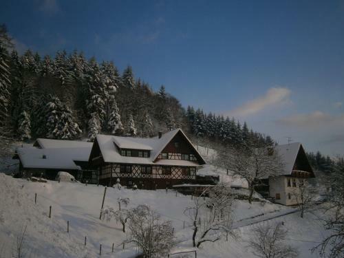 Apartamento Ferienhof Fischer