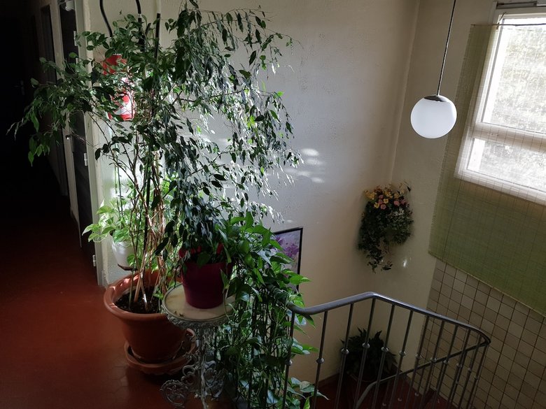Hotel Le Chemin Neuf
