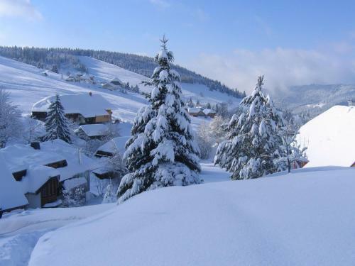 Apartamento Todtnauberg