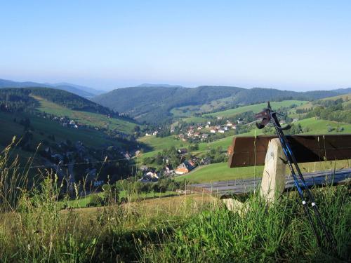 Apartamento Todtnauberg