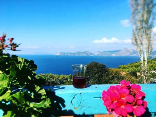 Hostal Faralya Yoruk Evi Hotel