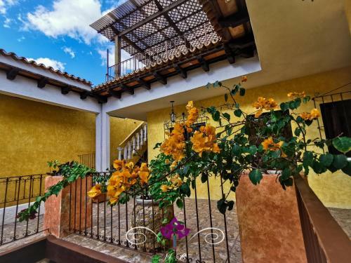 Albergue Maison Bougainvillea