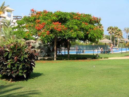 Apartamento Vera Playa Jardines I4-2c